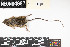  ( - NOGP.20200630.R4959.E)  @11 [ ] CreativeCommons - Attribution Share-Alike (2025) Unspecified Arizona State University