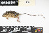  ( - NOGP.20200630.R4959.E)  @11 [ ] CreativeCommons - Attribution Share-Alike (2025) Unspecified Arizona State University