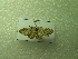  ( - NIBGE MOT-01255)  @12 [ ] CreativeCommons - Attribution Non-Commercial Share-Alike (2011) Muhammad Ashfaq National Institute for Biotechnology and Genetic Engineering Faisalabad Pakistan