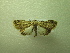  ( - NIBGE MOT-01319)  @13 [ ] CreativeCommons - Attribution Non-Commercial Share-Alike (2011) Muhammad Ashfaq National Institute for Biotechnology and Genetic Engineering Faisalabad Pakistan