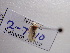  ( - NIBGE MOT-00690)  @13 [ ] Copyright (2010) Muhammad Ashfaq National Institute for Biotechnology and Genetic Engineering, Faisalabad, Pakistan