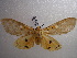  ( - NIBGE MOT-00926)  @13 [ ] CreativeCommons - Attribution Non-Commercial Share-Alike (2010) Muhammad Ashfaq National Institute for Biotechnology and Genetic Engineering Faisalabad Pakistan