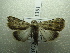  ( - NIBGE MOT-01381)  @13 [ ] CreativeCommons - Attribution Non-Commercial Share-Alike (2012) Muhammad Ashfaq National Institute for Biotechnology and Genetic Engineering Faisalabad Pakistan