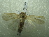  ( - NIBGE MOT-01388)  @13 [ ] CreativeCommons - Attribution Non-Commercial Share-Alike (2012) Muhammad Ashfaq National Institute for Biotechnology and Genetic Engineering Faisalabad Pakistan