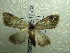  ( - NIBGE MOT-01408)  @13 [ ] CreativeCommons - Attribution Non-Commercial Share-Alike (2012) Muhammad Ashfaq National Institute for Biotechnology and Genetic Engineering Faisalabad Pakistan