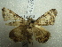  ( - NIBGE MOT-01435)  @13 [ ] CreativeCommons - Attribution Non-Commercial Share-Alike (2012) Muhammad Ashfaq National Institute for Biotechnology and Genetic Engineering Faisalabad Pakistan