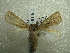  ( - NIBGE MOT-01462)  @14 [ ] CreativeCommons - Attribution Non-Commercial Share-Alike (2012) Muhammad Ashfaq National Institute for Biotechnology and Genetic Engineering Faisalabad Pakistan