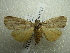  ( - NIBGE MOT-01511)  @12 [ ] CreativeCommons - Attribution Non-Commercial Share-Alike (2012) Muhammad Ashfaq National Institute for Biotechnology and Genetic Engineering Faisalabad Pakistan