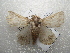  ( - NIBGE MOT-01629)  @13 [ ] CreativeCommons - Attribution Non-Commercial Share-Alike (2012) Muhammad Ashfaq National Institute for Biotechnology and Genetic Engineering Faisalabad Pakistan