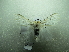  ( - NIBGE MOT-01664)  @13 [ ] CreativeCommons - Attribution Non-Commercial Share-Alike (2012) Muhammad Ashfaq National Institute for Biotechnology and Genetic Engineering Faisalabad Pakistan