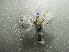  ( - NIBGE MOT-01668)  @13 [ ] CreativeCommons - Attribution Non-Commercial Share-Alike (2012) Muhammad Ashfaq National Institute for Biotechnology and Genetic Engineering Faisalabad Pakistan
