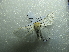  ( - NIBGE MOT-01669)  @12 [ ] CreativeCommons - Attribution Non-Commercial Share-Alike (2012) Muhammad Ashfaq National Institute for Biotechnology and Genetic Engineering Faisalabad Pakistan