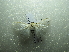  ( - NIBGE MOT-01671)  @13 [ ] CreativeCommons - Attribution Non-Commercial Share-Alike (2012) Muhammad Ashfaq National Institute for Biotechnology and Genetic Engineering Faisalabad Pakistan