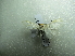  ( - NIBGE MOT-01673)  @12 [ ] CreativeCommons - Attribution Non-Commercial Share-Alike (2012) Muhammad Ashfaq National Institute for Biotechnology and Genetic Engineering Faisalabad Pakistan