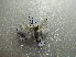  ( - NIBGE MOT-01692)  @12 [ ] CreativeCommons - Attribution Non-Commercial Share-Alike (2012) Muhammad Ashfaq National Institute for Biotechnology and Genetic Engineering Faisalabad Pakistan