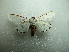  ( - NIBGE MOT-01784)  @13 [ ] CreativeCommons - Attribution Non-Commercial Share-Alike (2012) Muhammad Ashfaq National Institute for Biotechnology and Genetic Engineering Faisalabad Pakistan