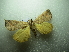 ( - NIBGE MOT-01823)  @13 [ ] CreativeCommons - Attribution Non-Commercial Share-Alike (2012) Muhammad Ashfaq National Institute for Biotechnology and Genetic Engineering Faisalabad Pakistan