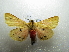  ( - NIBGE MOT-01905)  @13 [ ] CreativeCommons - Attribution Non-Commercial Share-Alike (2012) Muhammad Ashfaq National Institute for Biotechnology and Genetic Engineering Faisalabad Pakistan