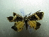  ( - NIBGE MOT-01915)  @12 [ ] CreativeCommons - Attribution Non-Commercial Share-Alike (2012) Muhammad Ashfaq National Institute for Biotechnology and Genetic Engineering Faisalabad Pakistan