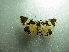  ( - NIBGE MOT-01919)  @12 [ ] CreativeCommons - Attribution Non-Commercial Share-Alike (2012) Muhammad Ashfaq National Institute for Biotechnology and Genetic Engineering Faisalabad Pakistan