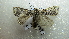  ( - NIBGE MOT-02056)  @13 [ ] CreativeCommons - Attribution Non-Commercial Share-Alike (2012) Muhammad Ashfaq National Institute for Biotechnology and Genetic Engineering Faisalabad Pakistan