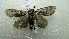  ( - NIBGE MOT-02062)  @13 [ ] CreativeCommons - Attribution Non-Commercial Share-Alike (2012) Muhammad Ashfaq National Institute for Biotechnology and Genetic Engineering Faisalabad Pakistan