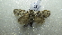  ( - NIBGE MOT-02065)  @13 [ ] CreativeCommons - Attribution Non-Commercial Share-Alike (2012) Muhammad Ashfaq National Institute for Biotechnology and Genetic Engineering Faisalabad Pakistan