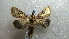  ( - NIBGE MOT-02420)  @13 [ ] CreativeCommons - Attribution Non-Commercial Share-Alike (2012) Muhammad Ashfaq National Institute for Biotechnology and Genetic Engineering Faisalabad Pakistan