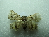  ( - NIBGE MOT-02837)  @12 [ ] CreativeCommons - Attribution Non-Commercial Share-Alike (2012) M. Sajjad Mirza National Institute for Biotechnology and Genetic Engineering Faisalabad Pakistan