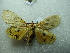  ( - NIBGE MOT-02844)  @13 [ ] CreativeCommons - Attribution Non-Commercial Share-Alike (2012) M. Sajjad Mirza National Institute for Biotechnology and Genetic Engineering Faisalabad Pakistan