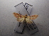  ( - NIBGE MOT-03406)  @13 [ ] CreativeCommons - Attribution Non-Commercial Share-Alike (2013) S. Mirza National Institute for Biotechnology and Genetic Engineering Faisalabad Pakistan