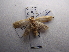  ( - NIBGE MOT-03450)  @13 [ ] CreativeCommons - Attribution Non-Commercial Share-Alike (2013) S. Mirza National Institute for Biotechnology and Genetic Engineering Faisalabad Pakistan