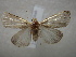  ( - NIBGE MOT-01084)  @13 [ ] CreativeCommons - Attribution Non-Commercial Share-Alike (2011) Muhammad Ashfaq National Institute for Biotechnology and Genetic Engineering Faisalabad Pakistan