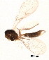 ( - BIOUG02398-D07)  @12 [ ] CreativeCommons - Attribution (2012) Muhammad Ashfaq Centre for Biodiversity Genomics