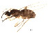  ( - BIOUG02388-B04)  @12 [ ] CreativeCommons - Attribution (2012) Muhammad Ashfaq Centre for Biodiversity Genomics