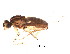  ( - BIOUG02390-B06)  @12 [ ] CreativeCommons - Attribution (2012) Muhammad Ashfaq Centre for Biodiversity Genomics