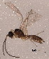  ( - BIOUG02399-H06)  @12 [ ] CreativeCommons - Attribution (2012) Muhammad Ashfaq Centre for Biodiversity Genomics