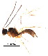  ( - BIOUG02434-A01)  @12 [ ] CreativeCommons - Attribution (2012) Muhammad Ashfaq Centre for Biodiversity Genomics
