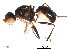  ( - BIOUG02440-D11)  @12 [ ] CreativeCommons - Attribution (2012) Muhammad Ashfaq Centre for Biodiversity Genomics