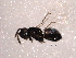  ( - BIOUG02443-G06)  @12 [ ] CreativeCommons - Attribution (2012) Muhammad Ashfaq Centre for Biodiversity Genomics