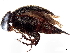  ( - BIOUG02541-C10)  @11 [ ] CreativeCommons - Attribution (2023) CBG Photography Group Centre for Biodiversity Genomics