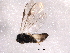  ( - BIOUG02546-A06)  @12 [ ] CreativeCommons - Attribution (2012) Muhammad Ashfaq Centre for Biodiversity Genomics