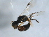  ( - BIOUG04759-E01)  @13 [ ] CreativeCommons - Attribution (2013) CBG Photography Group Centre for Biodiversity Genomics