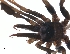  ( - BIOUG15299-A11)  @11 [ ] CreativeCommons - Attribution (2016) G. Blagoev Centre for Biodiversity Genomics