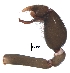  ( - BIOUG15299-A11)  @11 [ ] CreativeCommons - Attribution (2016) G. Blagoev Centre for Biodiversity Genomics