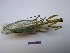  ( - GFMAN18-178)  @11 [ ] Copyright (2018) Nicolas Moulin Research Collection of Nicolas Moulin