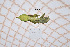  ( - GFMAN18-269)  @11 [ ] Copyright (2023) Nicolas Hausherr Personal Collection of Nicolas Hausherr