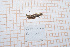  ( - GFMAN18-276)  @11 [ ] Copyright (2023) Nicolas Hausherr Personal Collection of Nicolas Hausherr