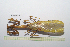  ( - GFMAN18-322)  @11 [ ] Copyright (2024) Nicolas Moulin Research Collection of Nicolas Moulin