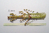  ( - GFMAN18-323)  @11 [ ] Copyright (2024) Nicolas Moulin Research Collection of Nicolas Moulin